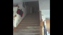 Dads turning negatives into positives since...forever. Hilarious toddler's  stunt in stairs