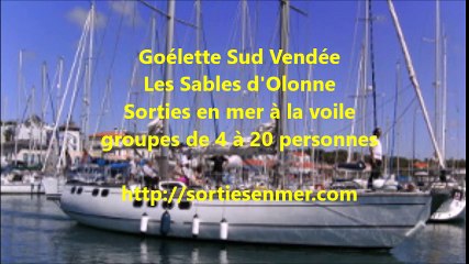 Goélette Sud Vendée - sorties en mer