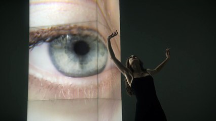 L’art de la danse, selon Repetto