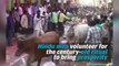 Hindus Trampled by Cows for Good Luck