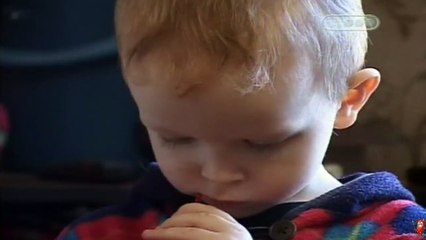 Апокалипсис. Цепная реакция