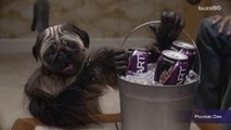 Mountain Dew's Puppy Monkey Baby is freaking Super Bowl viewers out