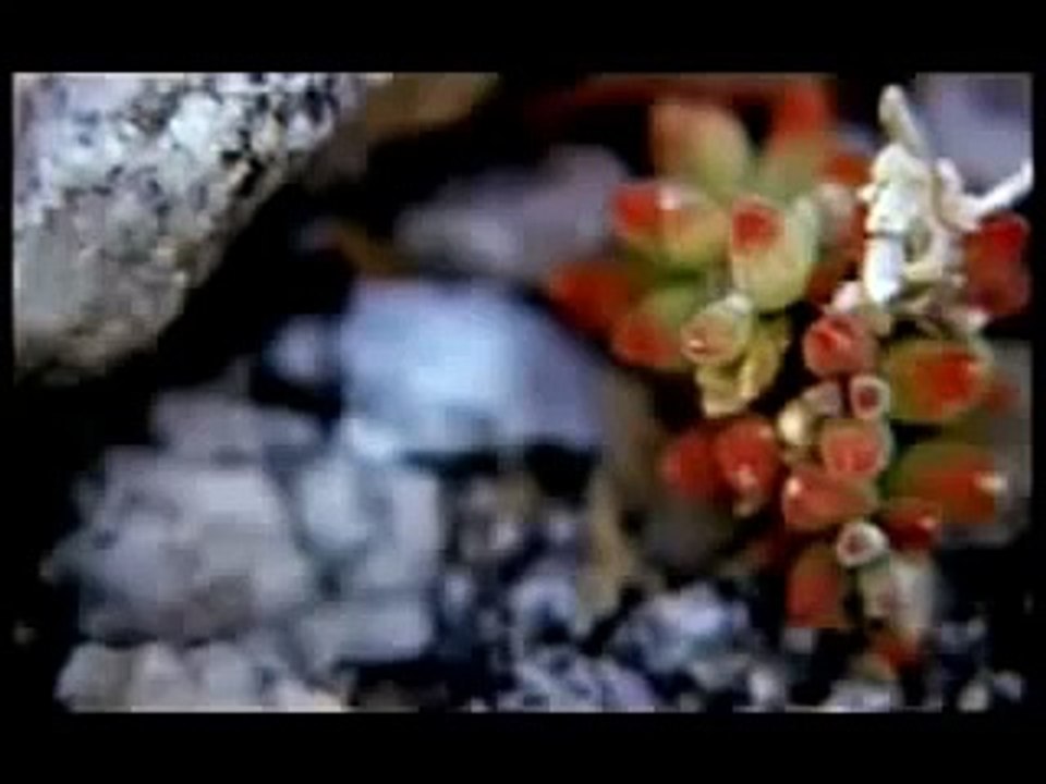 OUR WORLD by Zain Bhikha -