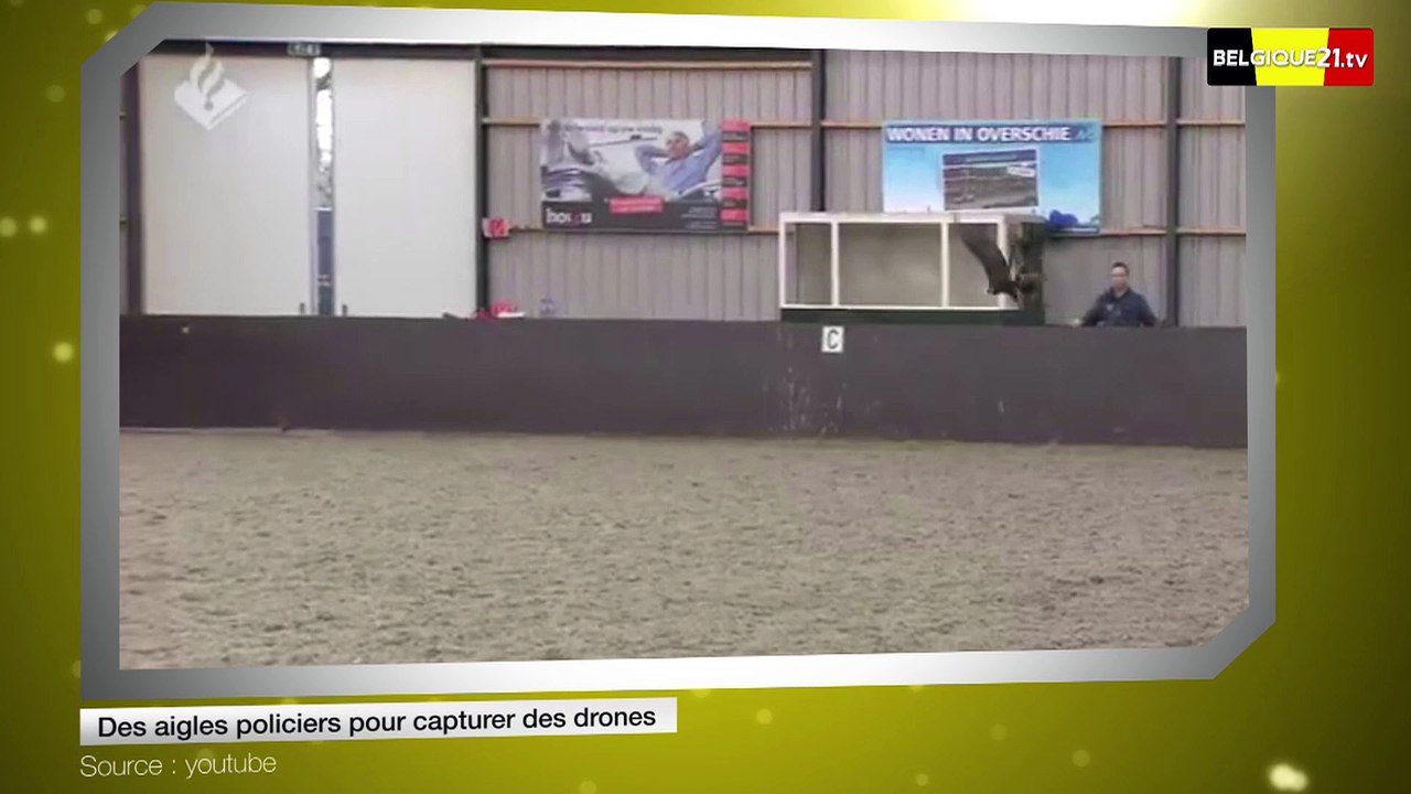 Des aigles policiers pour capturer des drones