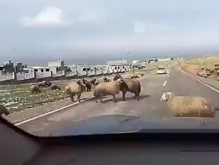 في وقت الحروب .. يجب ان ﻻ تتواجد فى المكان الغلط ..!!