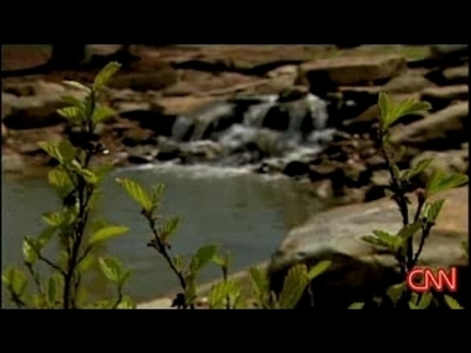 Creation Museum - CNN Coverage