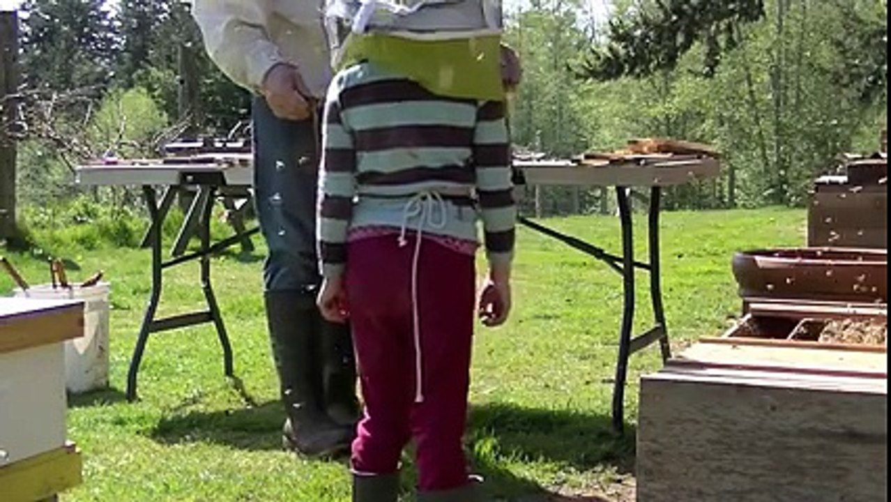 Μελισσοκόμος μαθαίνει το 5χρονο κοριτσάκι του