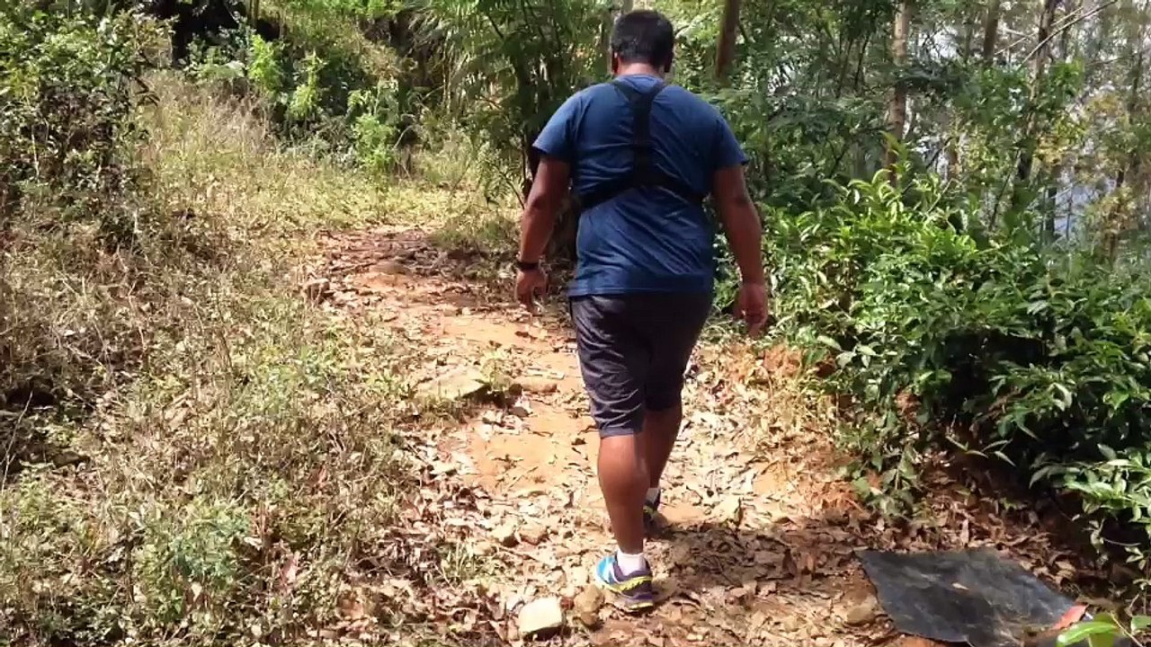 P&N - Ella Little Adam's Peak