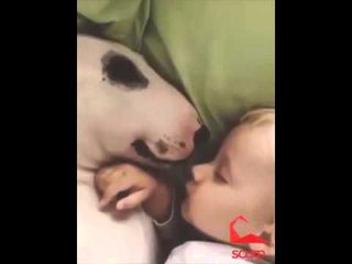 Scorp -İşte Aradığım İlişki