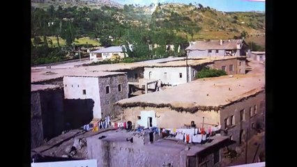 Salihê Şirnexi - HOY HOY MEMO