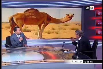 د٠سعيد بن شقرون يرد على إدعاءات علاج السرطان بإستعمال بول الناقة