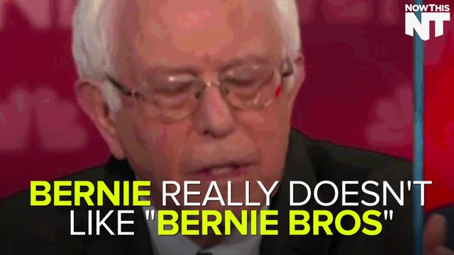Bernie Sanders Denounces Online Bernie Bros