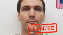 Manhunt underway for convict who escaped an Arkansas jail by simply climbing over the fence