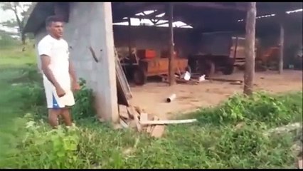 Courageous man stung by hundreds of bees