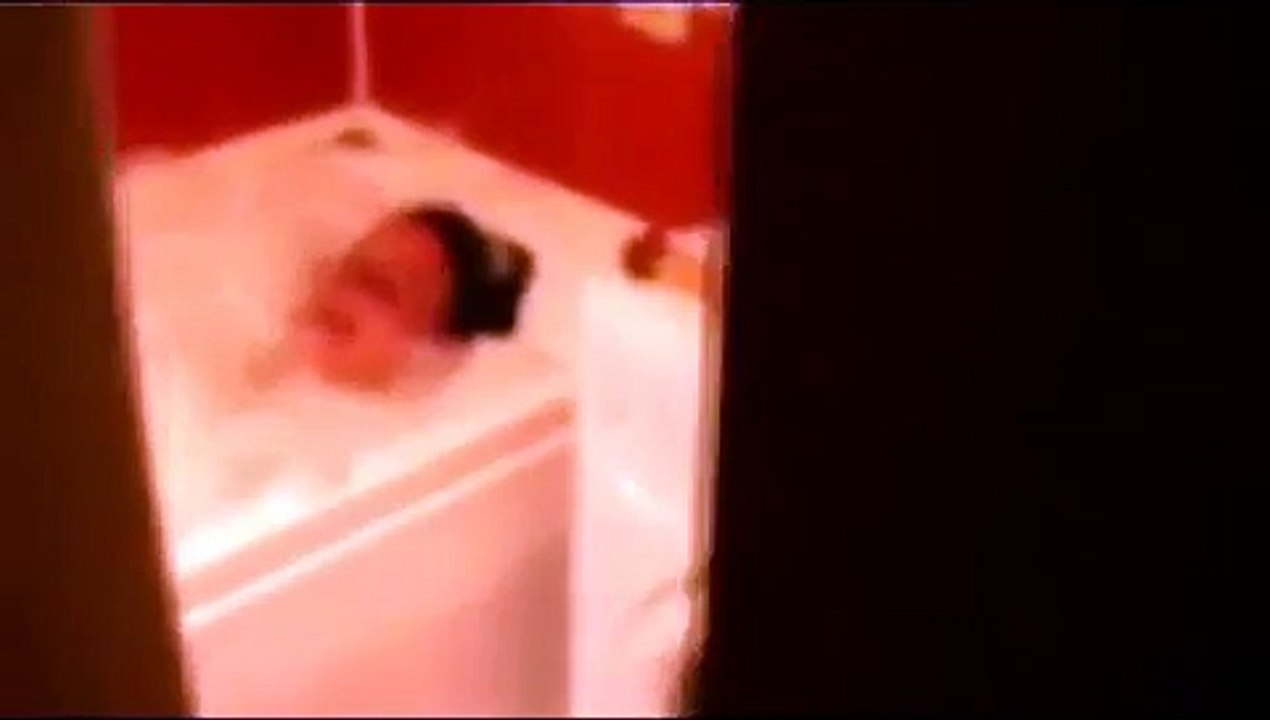 Кот заходит по пацански в дверь ))