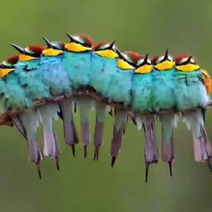 Beauty of Nature .. Kindly Rate 1-10...