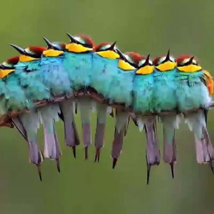 Beauty of Nature .. Kindly Rate 1-10...