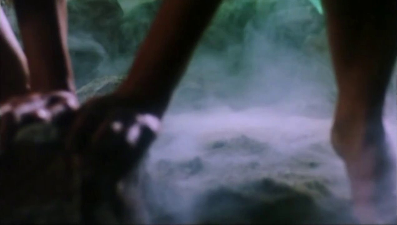 Flexing with Monty (2010) -   Official Trailer