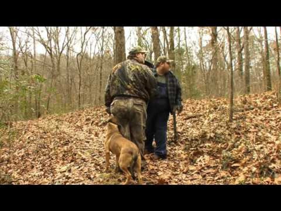 Blood Forest (2009)-   Official Trailer