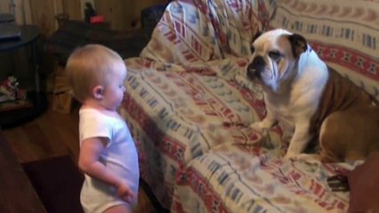 Baby Argues With Bulldog