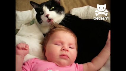 Cat gives baby a tongue bath