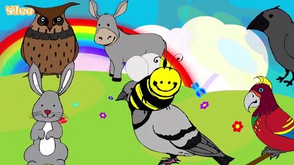 Las canciones de los animales Die Lieder der Tiere Spanisch lernen mit Kinderliedern Yleek