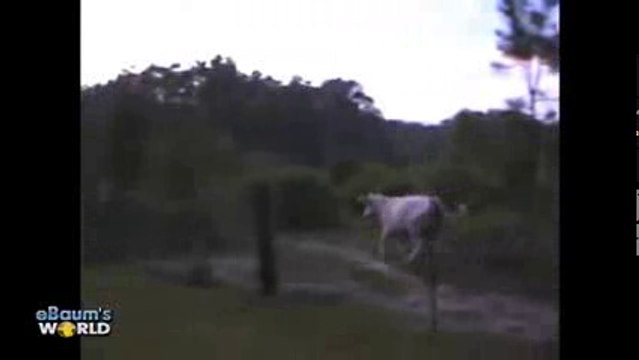 People Are Awesome CRAZY Wins EPIC