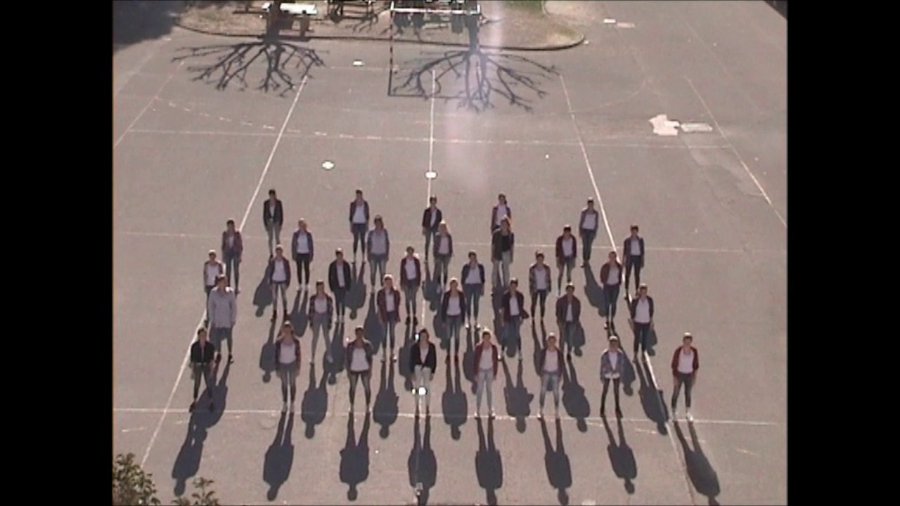 Flashmob concours UNSS- viala lacoste - salon de Provence