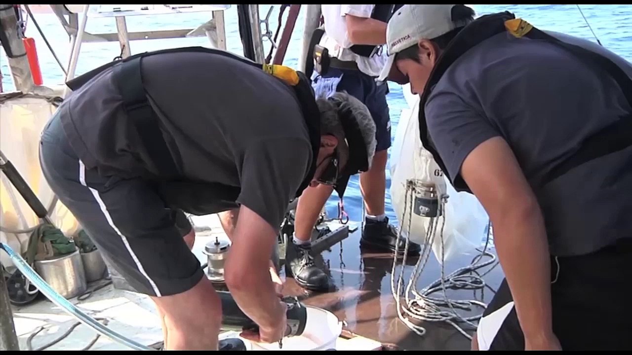 Continent Sciences / L'expédition Tara Océans