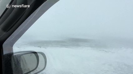 Cars struggle with blizzard on Canadian highway