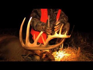 Moment of Impact - Gobble n Grunt Giants