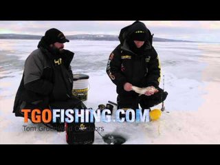 Tom Gruenwald Outdoors - Tom Gruenwald Outdoors