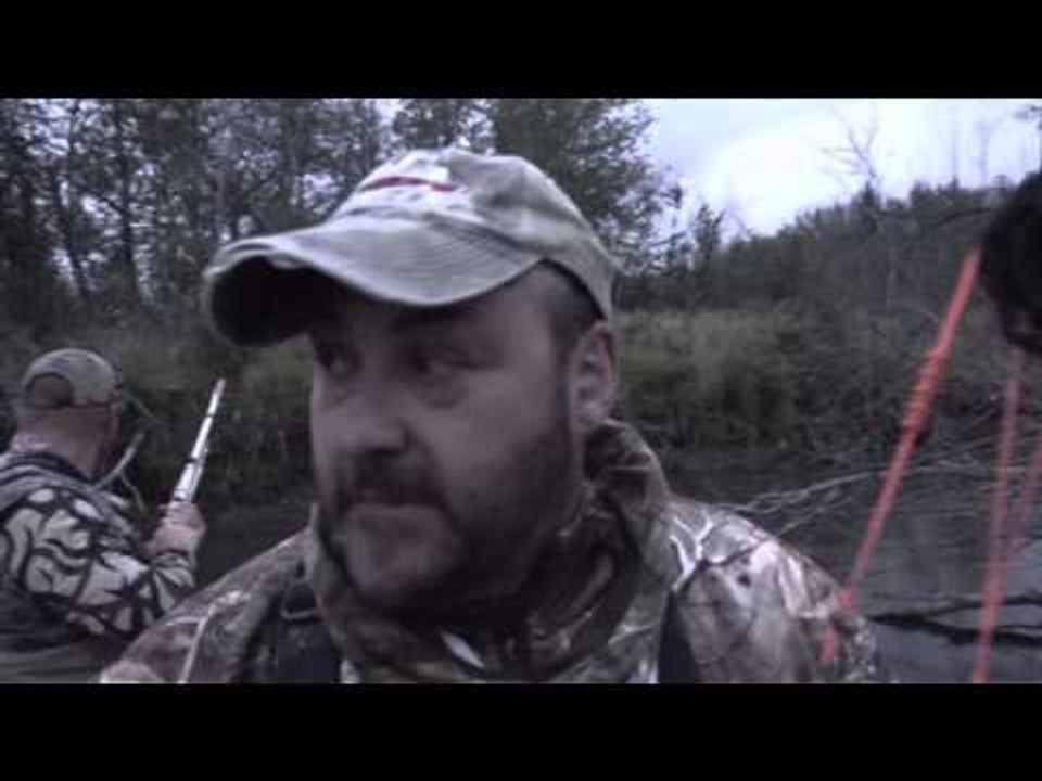 The Choice  - Alaskan Brown Bear PT 1