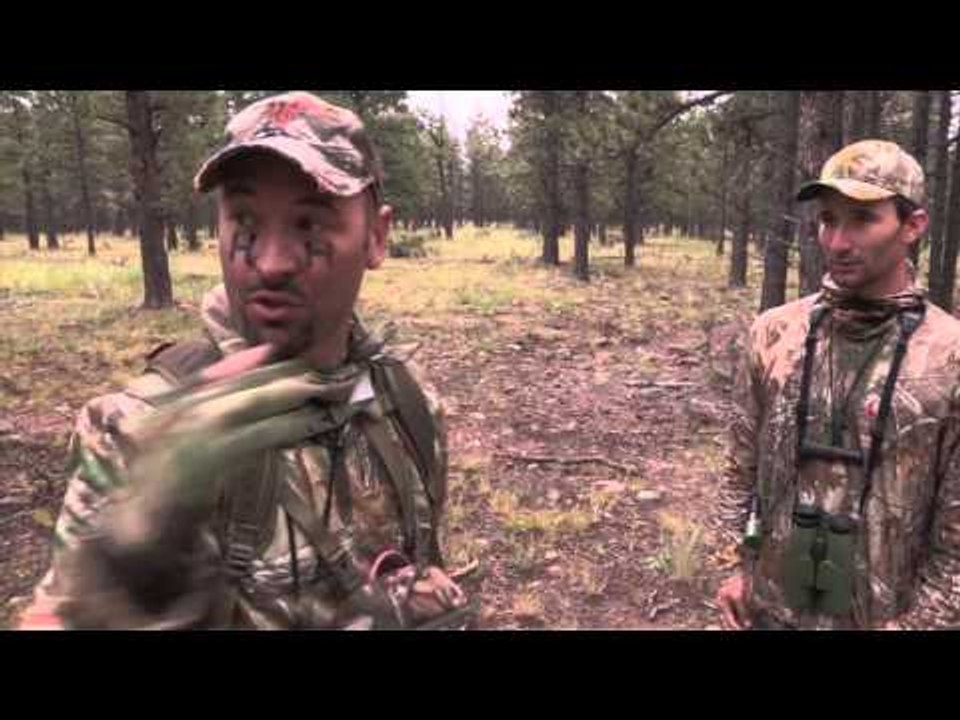Hollywood Hunter - Colorado Rut