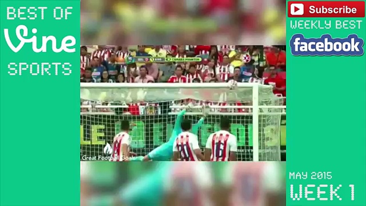 Best Sport Vines _ May 2015 Week 1