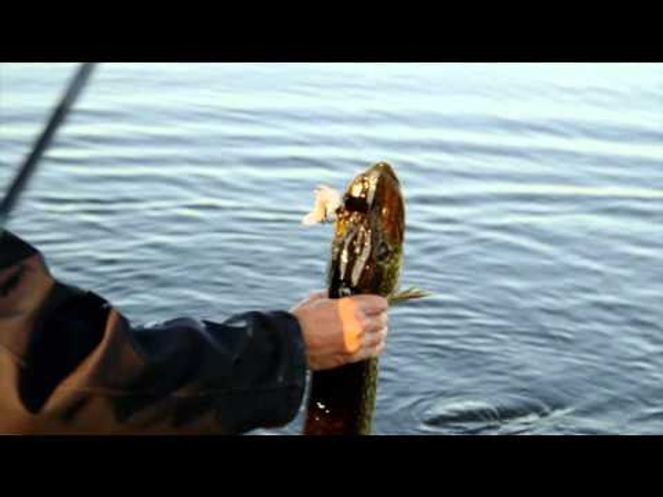 Fish Camp - Learning The Lake