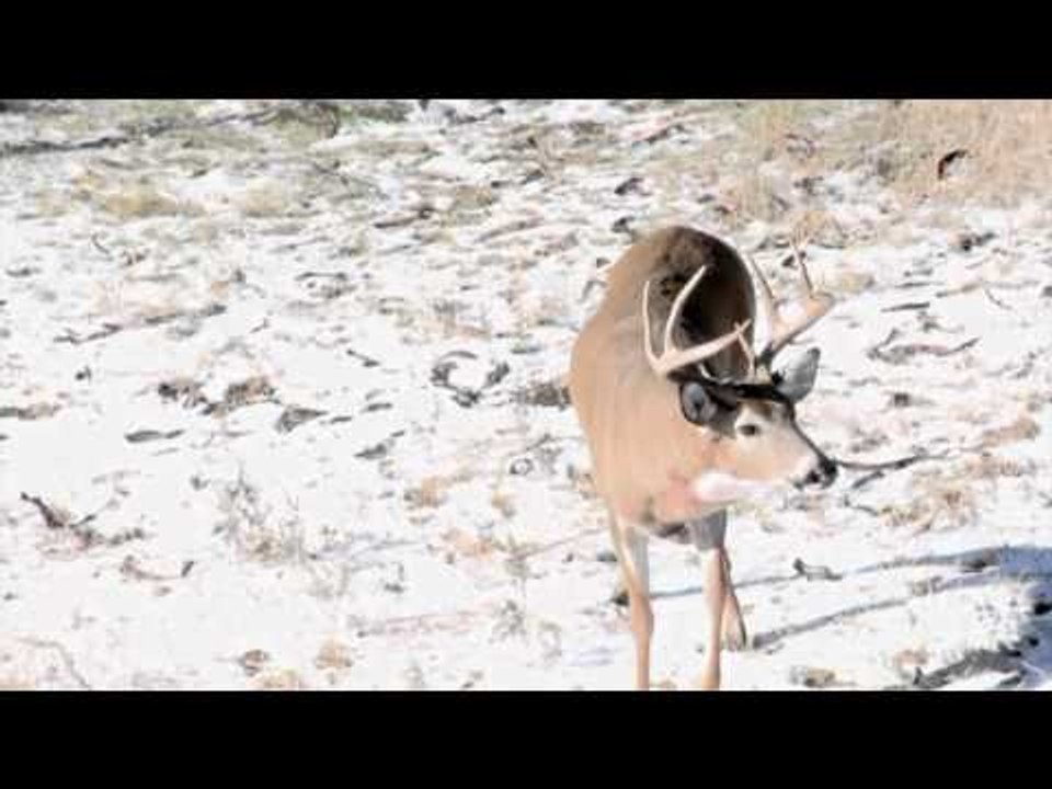 Outdoor Edge Love of the Hunt  - Outdoor Edge Love of the Hunt