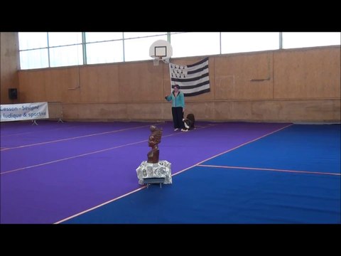 Obérythmée, concours Rennes -Cesson, 7 février 2016