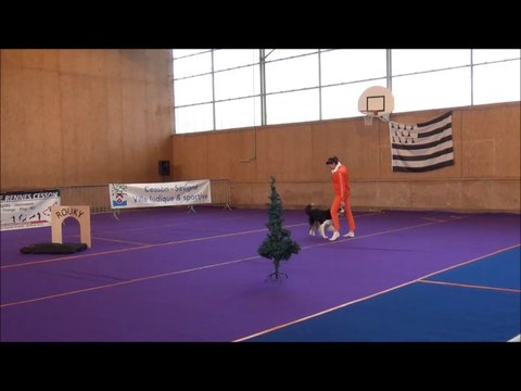 Obérythmée, concours Rennes-Cesson, 7 février 2016