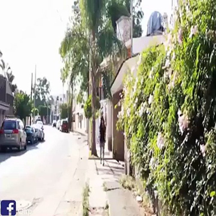 Tutmayın Kendinizi Gülün