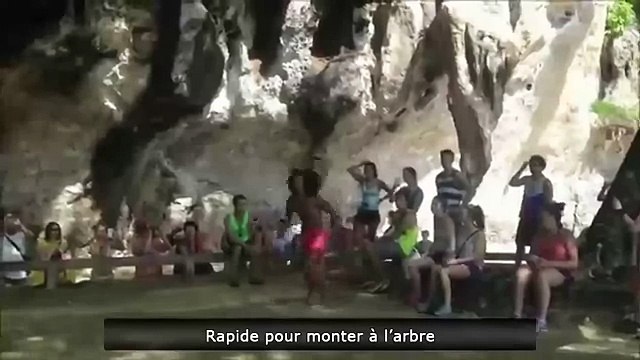 Современный маугли, как залезть на высокое дерево за 10 секунд