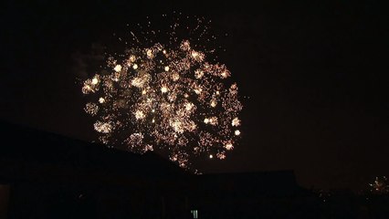 Nouvel an chinois, début de l'année du singe