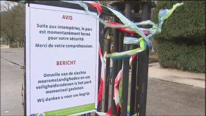 Carnavals annulés et parcs fermés en raison des intempéries