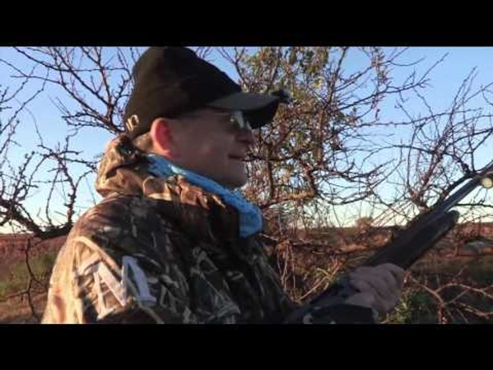 Mojo TV - Summertime Duck Hunt