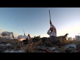 Claudio Ongaros Hired to Hunt - Uncontrolled Chaos