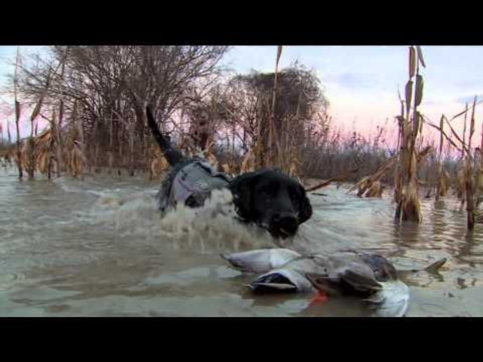 Primos  The Truth About Hunting - Cottonmouth B...