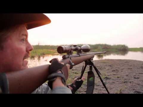 Where in the World is Colorado Buck - Namibia Hippo