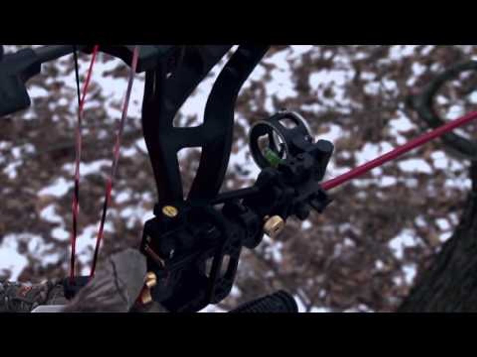 Whitetail Fix Presented by Bear Archery - Double B