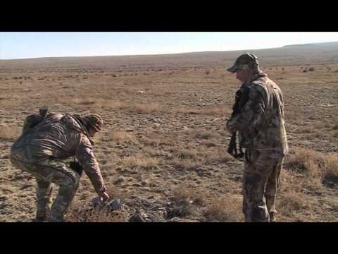 Predator Nation - Predator Slam