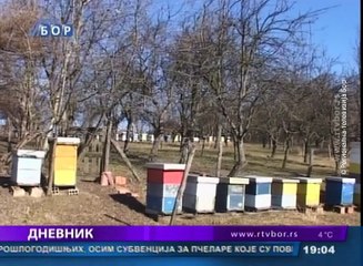 Dnevnik, 08. februar 2016. (RTV Bor)